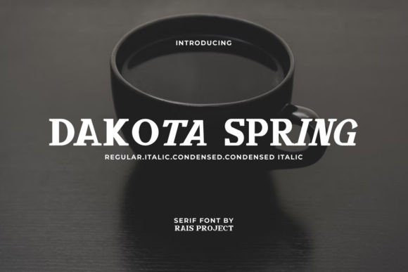 Dakota Spring: A Serif Font for Creative Campaigns