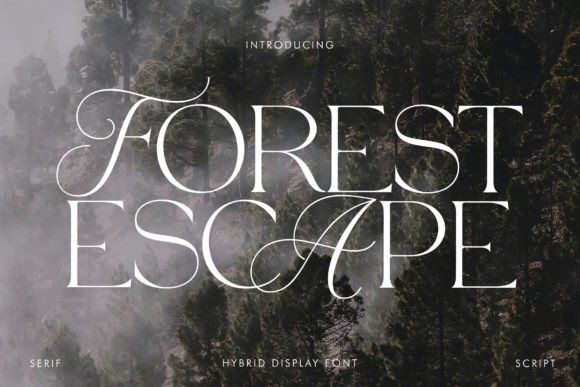 Forest Escape Font for Elegant Branding