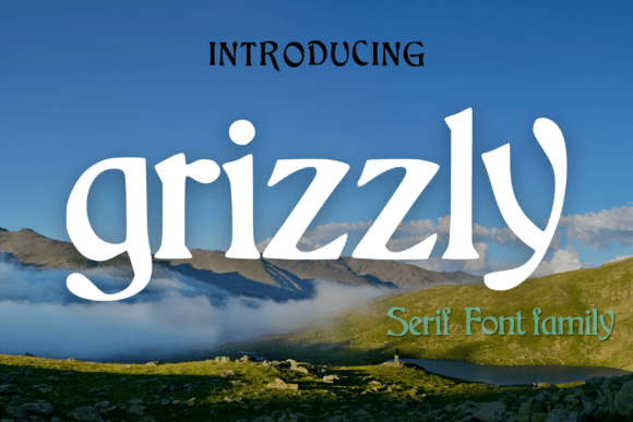 Grizzly Font Review